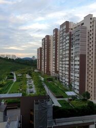 Blk 451A West Terra @ Bukit Batok (Bukit Batok), HDB 3 Rooms #610310231